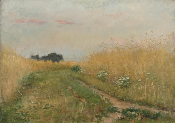 Zomerlandschap  Korenveld