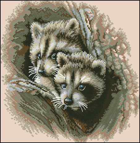 CMP 400255 Two Racoon Cub
