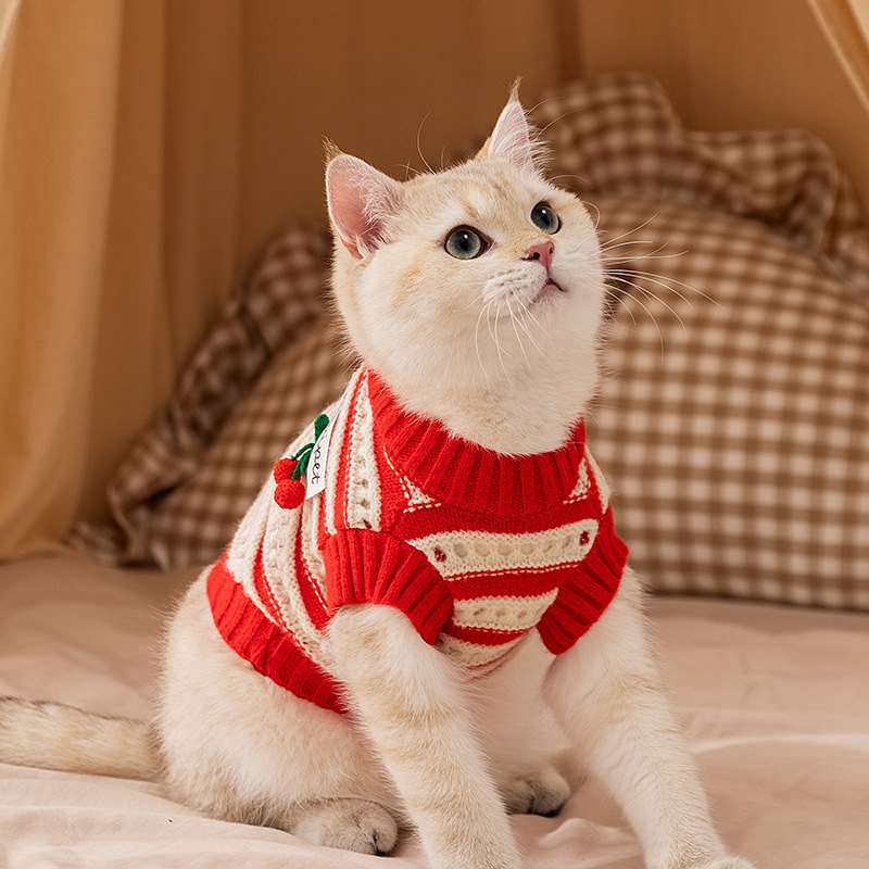 Sleeveless Knitted Vest for Cats with Hole Pattern