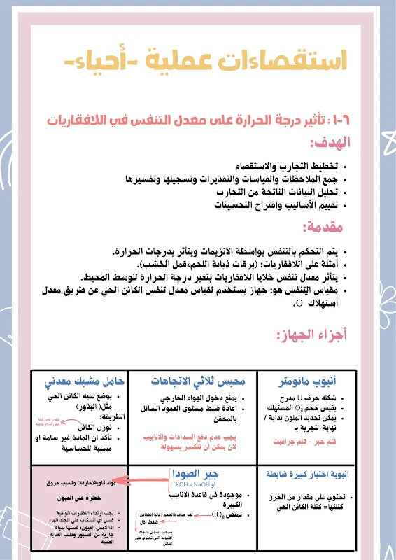 صورة الغلاف