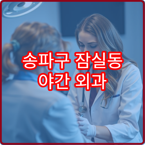 송파구 잠실동 야간 외과 진료 가능한 병원 응급 진료 기준 정리