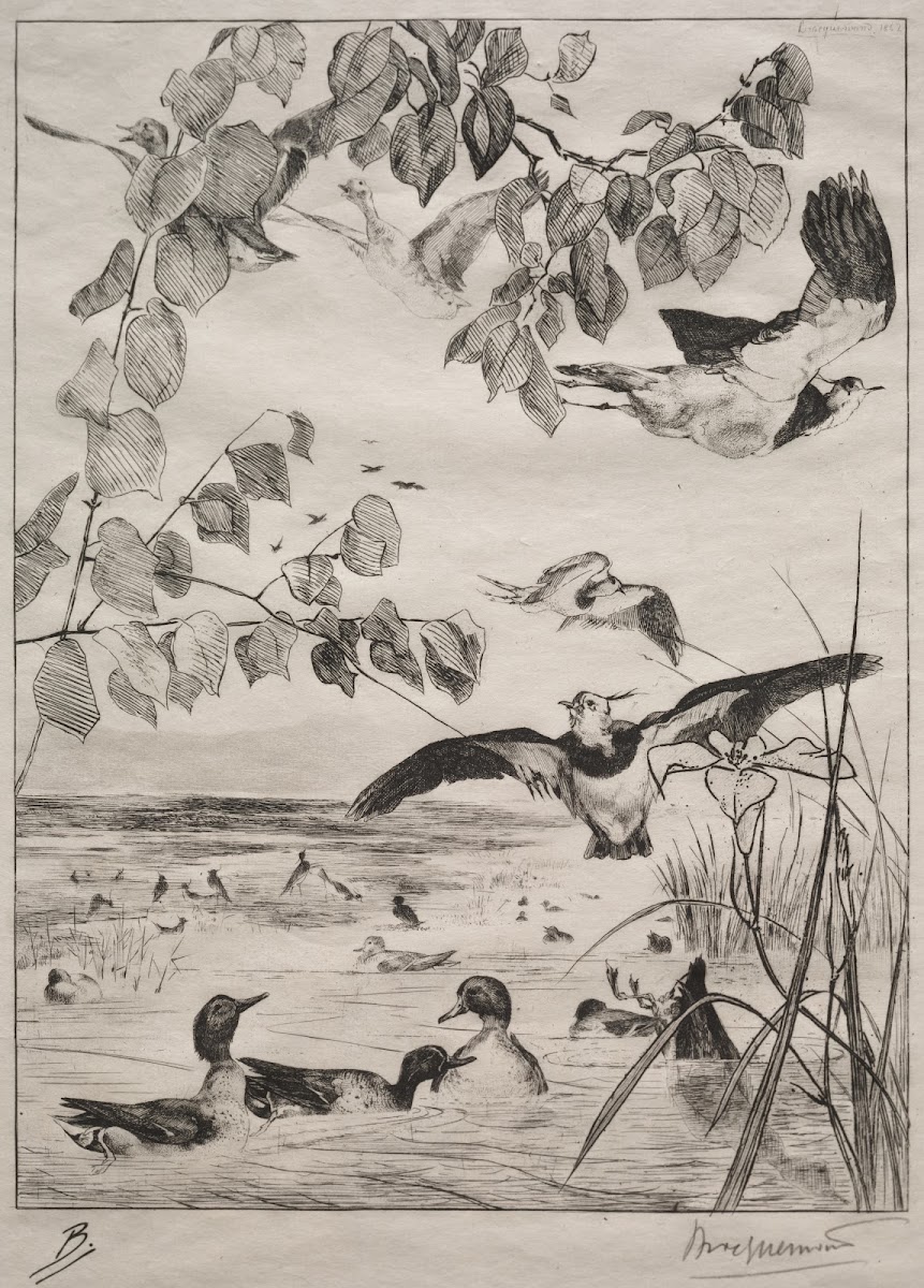 Lapwings and Teals 1862
