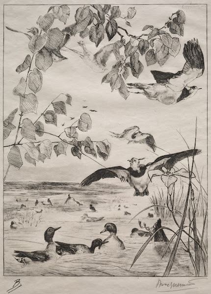 Lapwings and Teals 1862