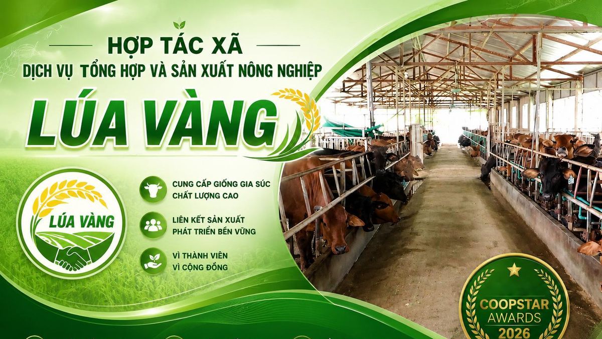 HTX Lúa Vàng – 'Ngôi sao Hợp tác xã' tỏa sáng từ vùng Kinh Bắc - Tạp chí Vnbusiness