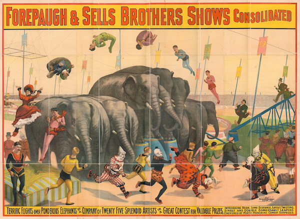 Terrific flights over ponderous elephants by a company of twenty five splendid a