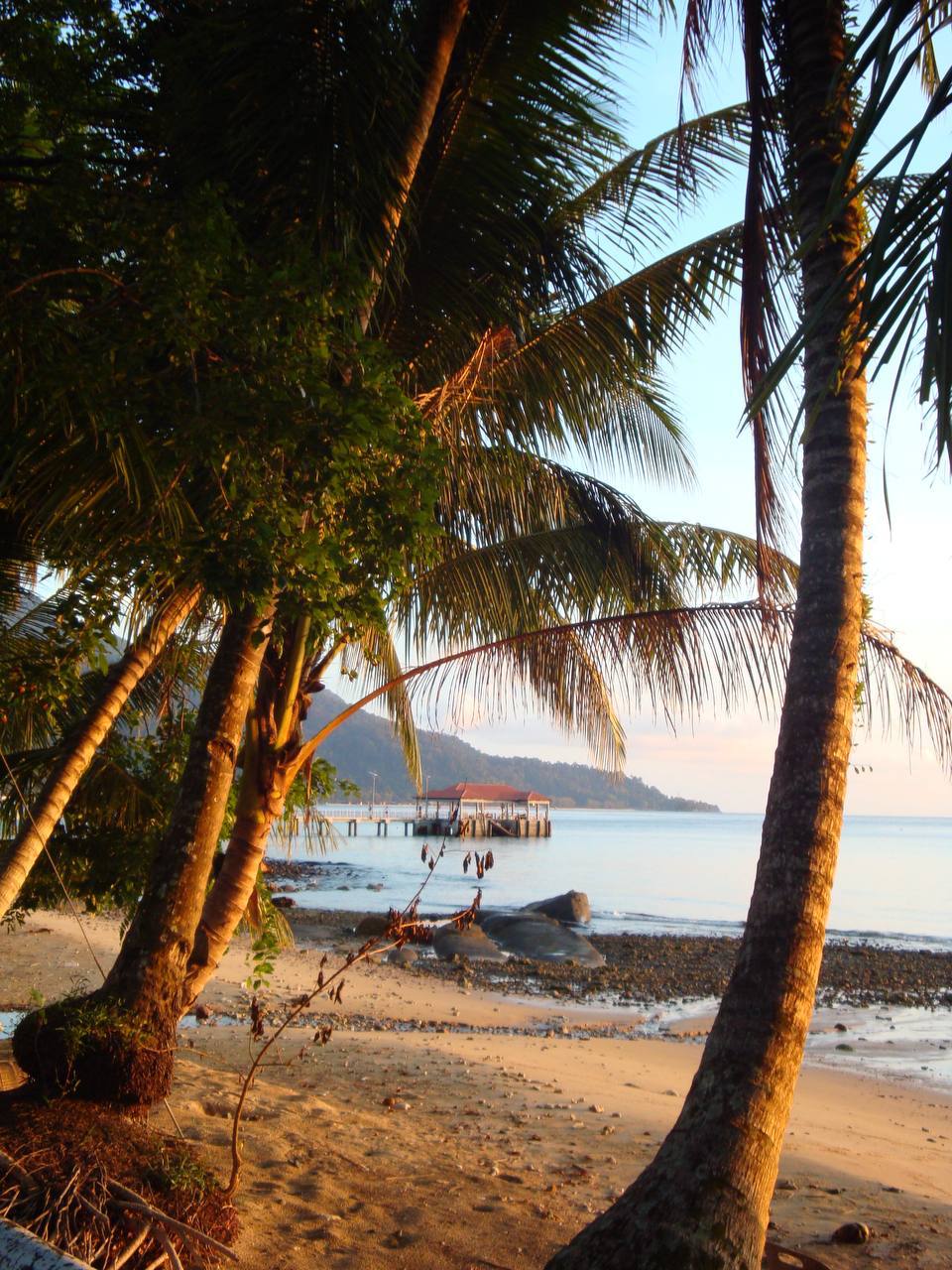 tropical golden hour ✨