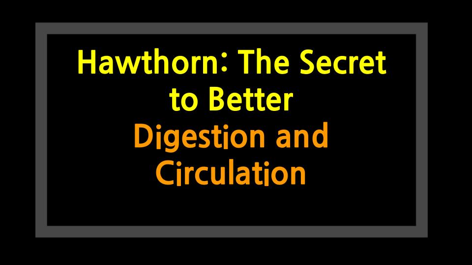 Hawthorn: The Secret to Better Digestion and Circulation