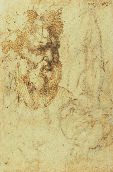 Study of the Head of a Bearded Man 1525