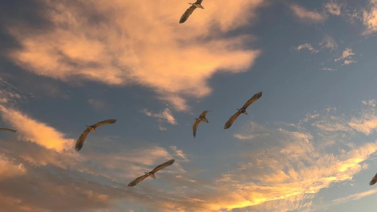 B2B IT 솔루션 도입 시 클라우드 전환과 사이버보안 고려사항