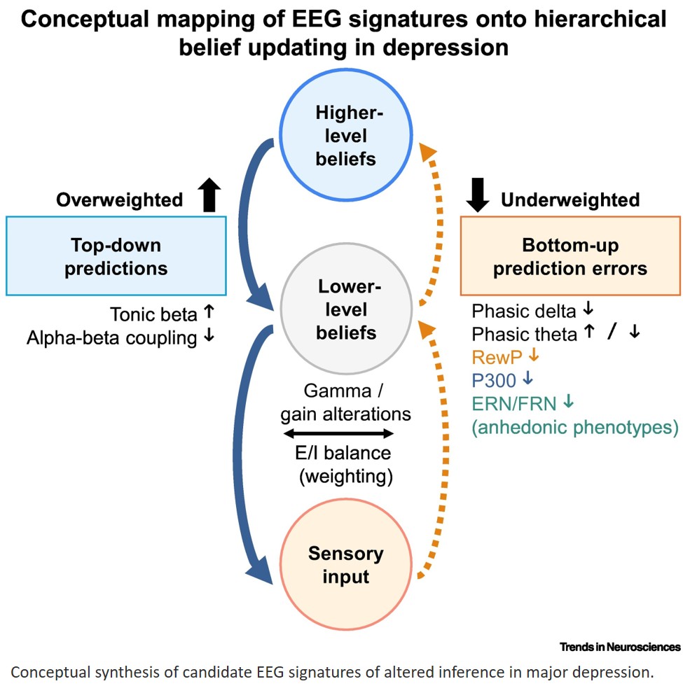 Brain rhythms of depression