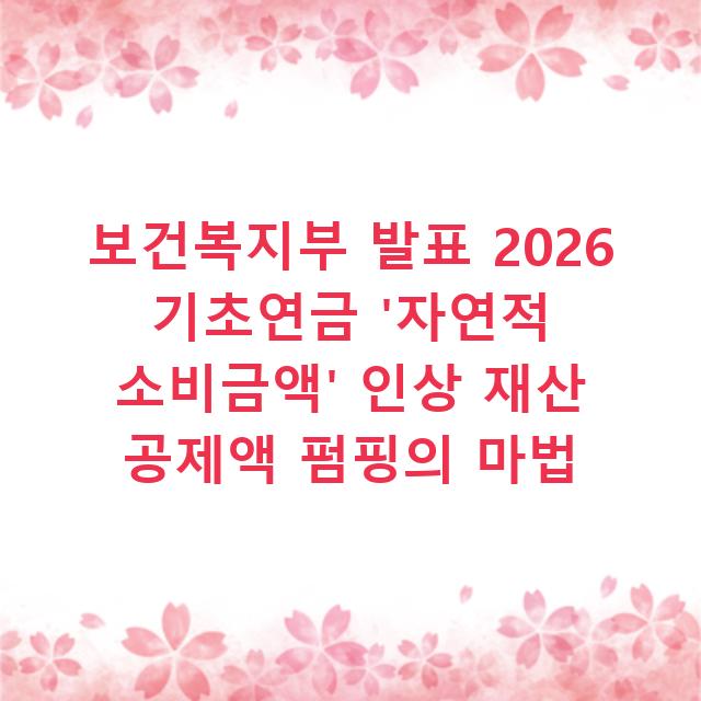 보건복지부 발표 2026 기초연금 ‘자연적 소비금액’ 인상 재산 공제액 펌핑의 마법