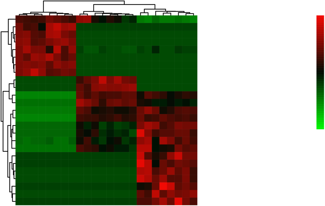 Quality Characteristics and Antitussive and Expectorant Effects of Bambusae Succus Prepared by Different Processing Methods Based on Component-Pharmaceutical Effect Associations