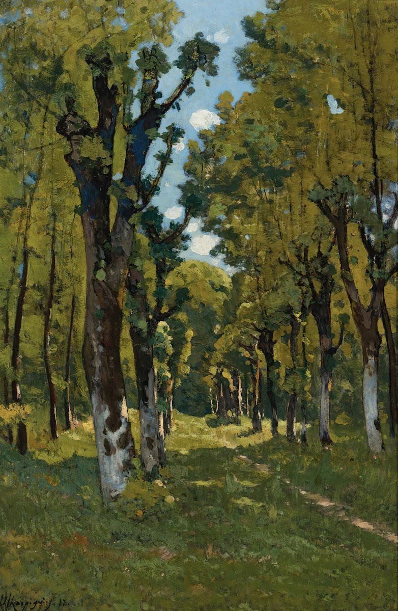 Allé Des Tilleuls À Saint Prive Yonne Sunlit Woodland Path 1887