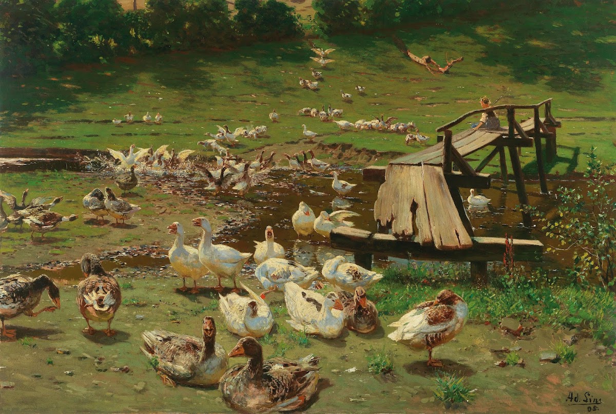 A Summer Day Geese By A Pond