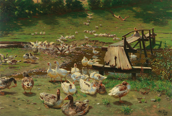 A Summer Day Geese By A Pond