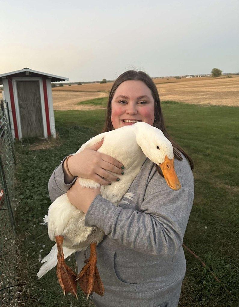 Jumbo Pekin Duckling