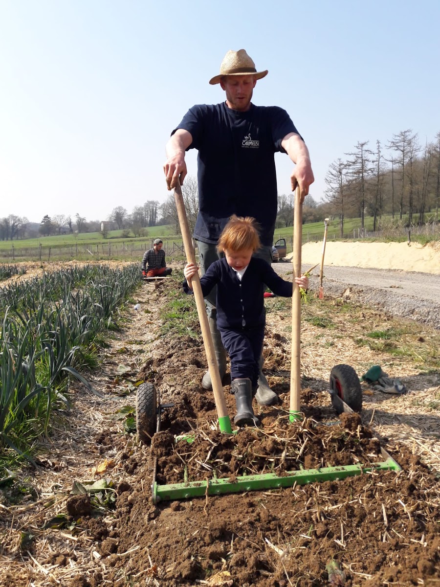 Au potager