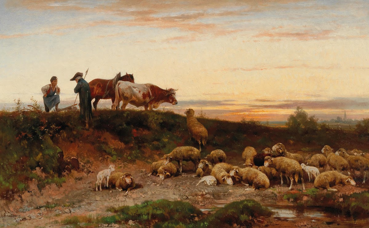Evening Landscape