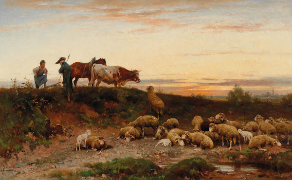 Evening Landscape