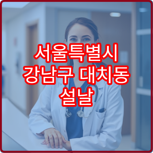 서울특별시 강남구 대치동 설날 명절 연휴 당번약국 대치동 학원가·아파트 근처 심야 응급약