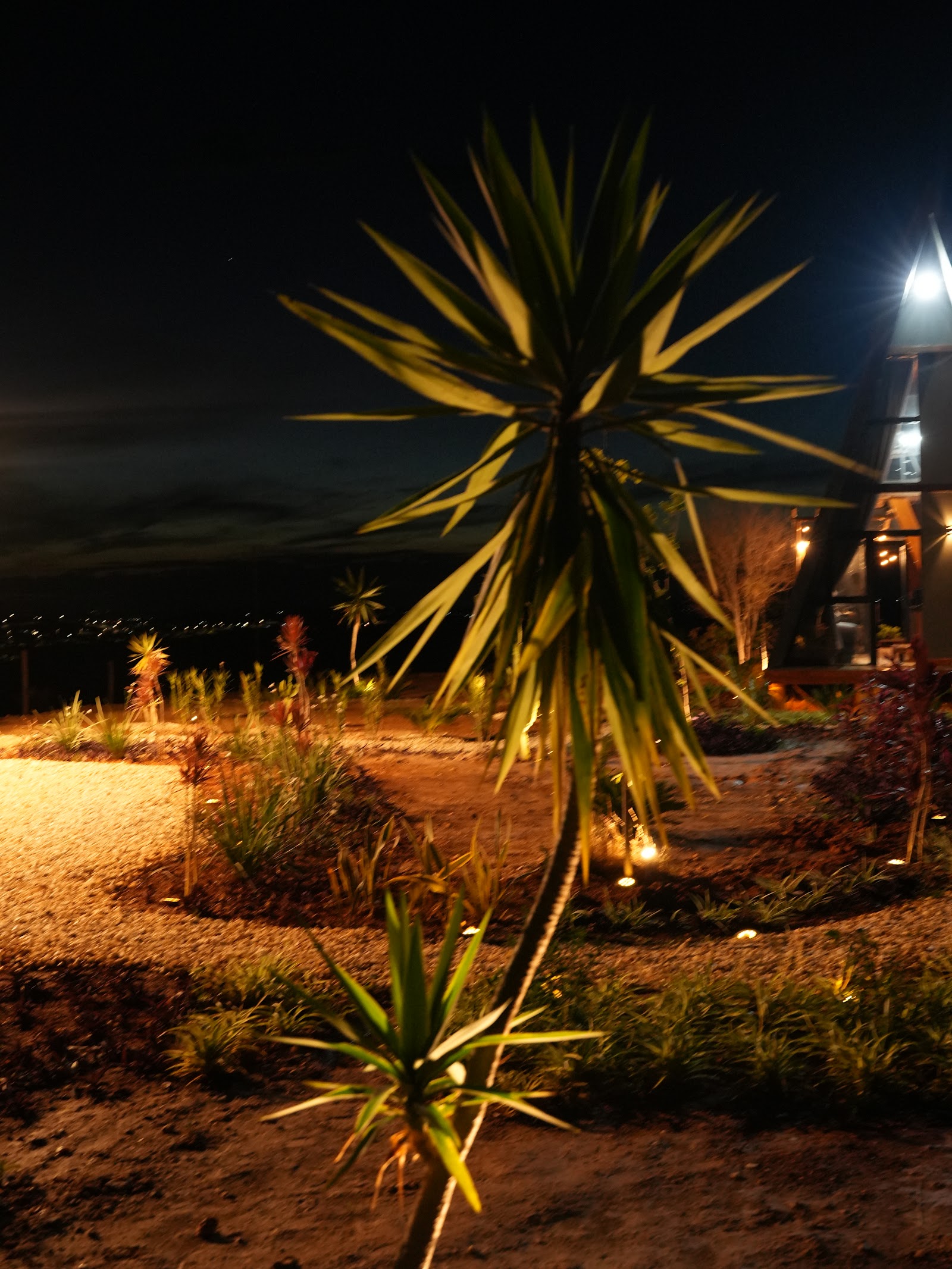 Foto real do jardim do Mei do Mato à noite, com uma yucca iluminada em primeiro plano, cascalho claro, o chalé A-frame com luz acesa à direita e as luzes do vale ao fundo sob o céu escuro