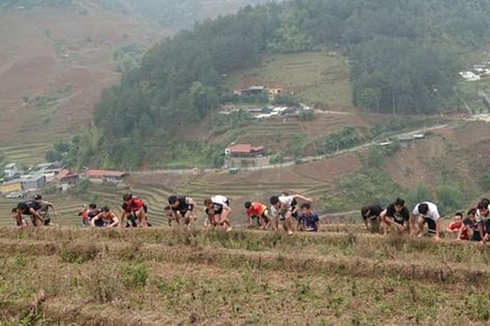 Độc đáo hình ảnh 300 vận động viên tham gia giải leo ruộng bậc thang - Báo Người Lao Động