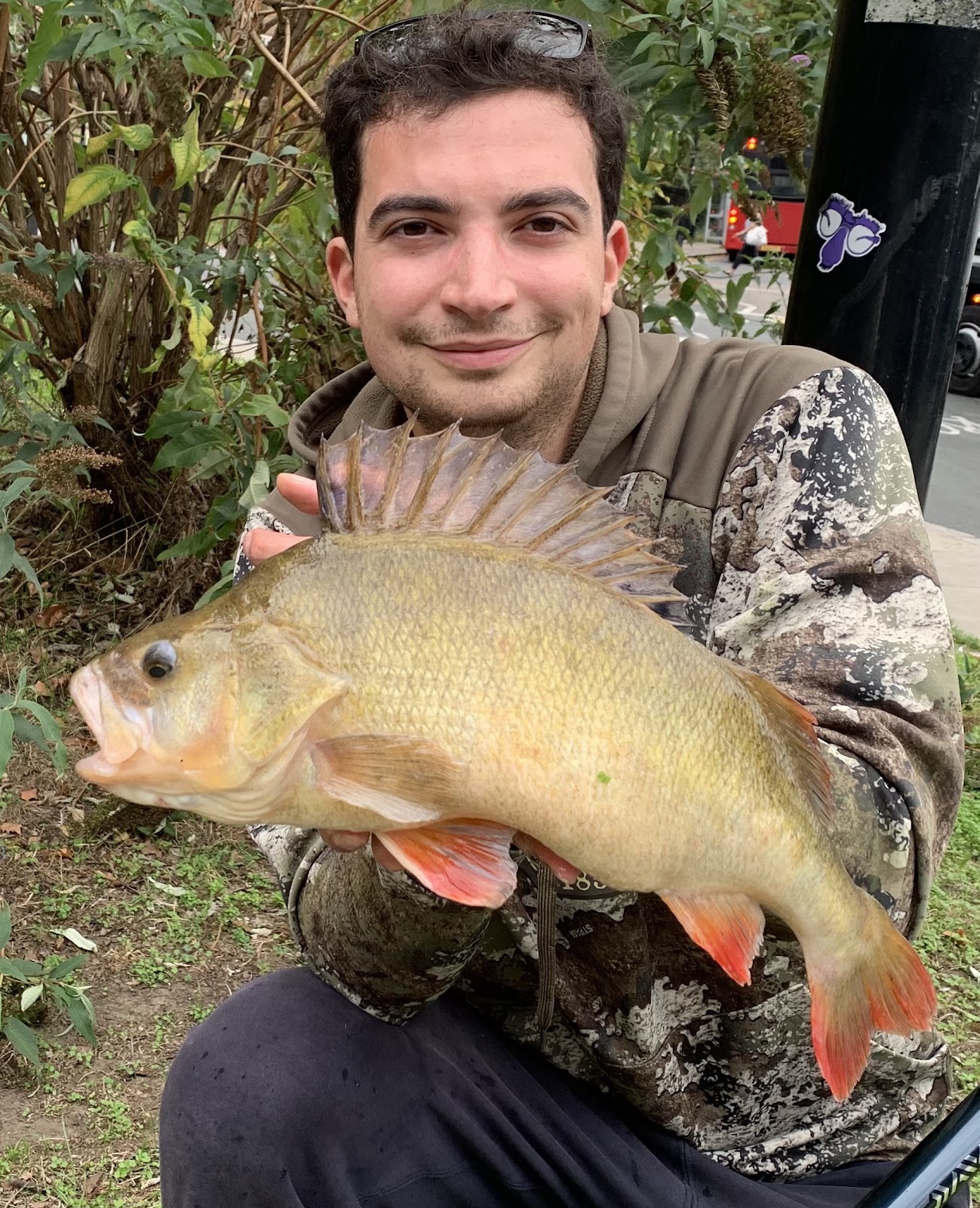 Alex McLatchie with a 4lb 3oz Perch caught lure fishing on an urban water