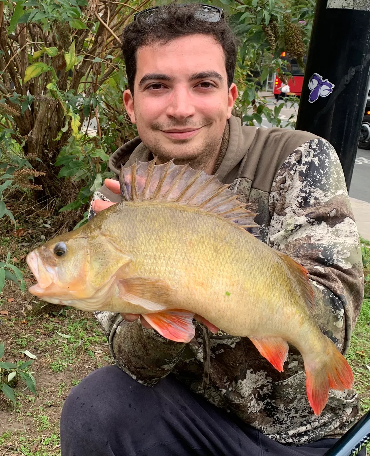 Alex McLatchie with a 4lb 3oz Perch caught lure fishing on an urban water