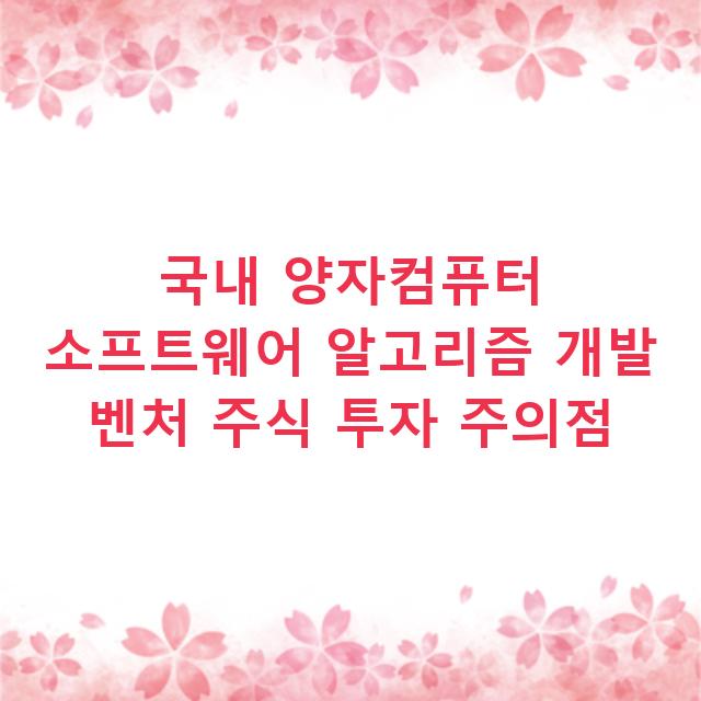 국내 양자컴퓨터 소프트웨어 알고리즘 개발 벤처 주식 투자 주의점
