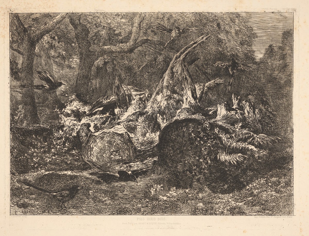 Pies sous bois Magpies under the trees 1864