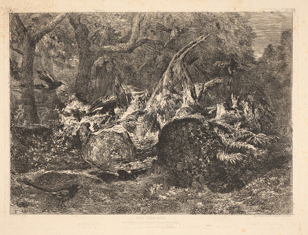 Pies sous bois Magpies under the trees 1864