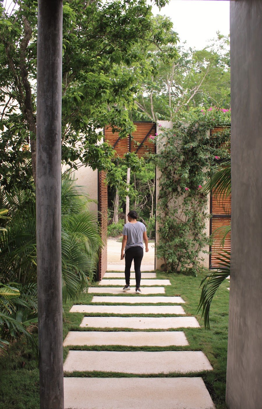 Garden walkway between the homes