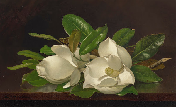 Magnolias on a Shiny Table circa 1885 95