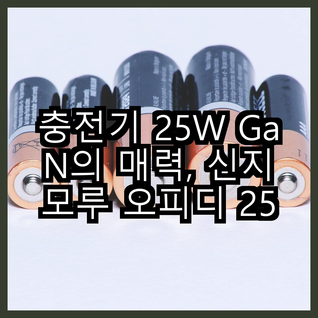 충전기 25W GaN의 매력, 신지모루 오피디 25W 듀얼포트 vs 삼성전자 25W C타입, 어떤 선택이 더 빠를까? 썸네일