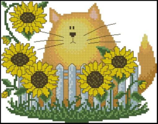 CMP 190147 Sunflower Cat
