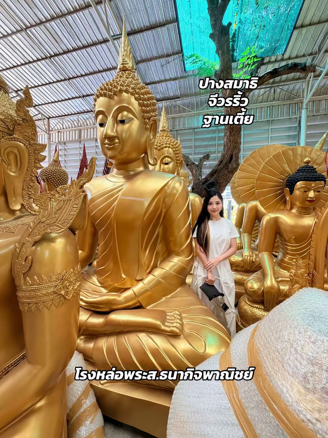 คนเพิ่งตาย