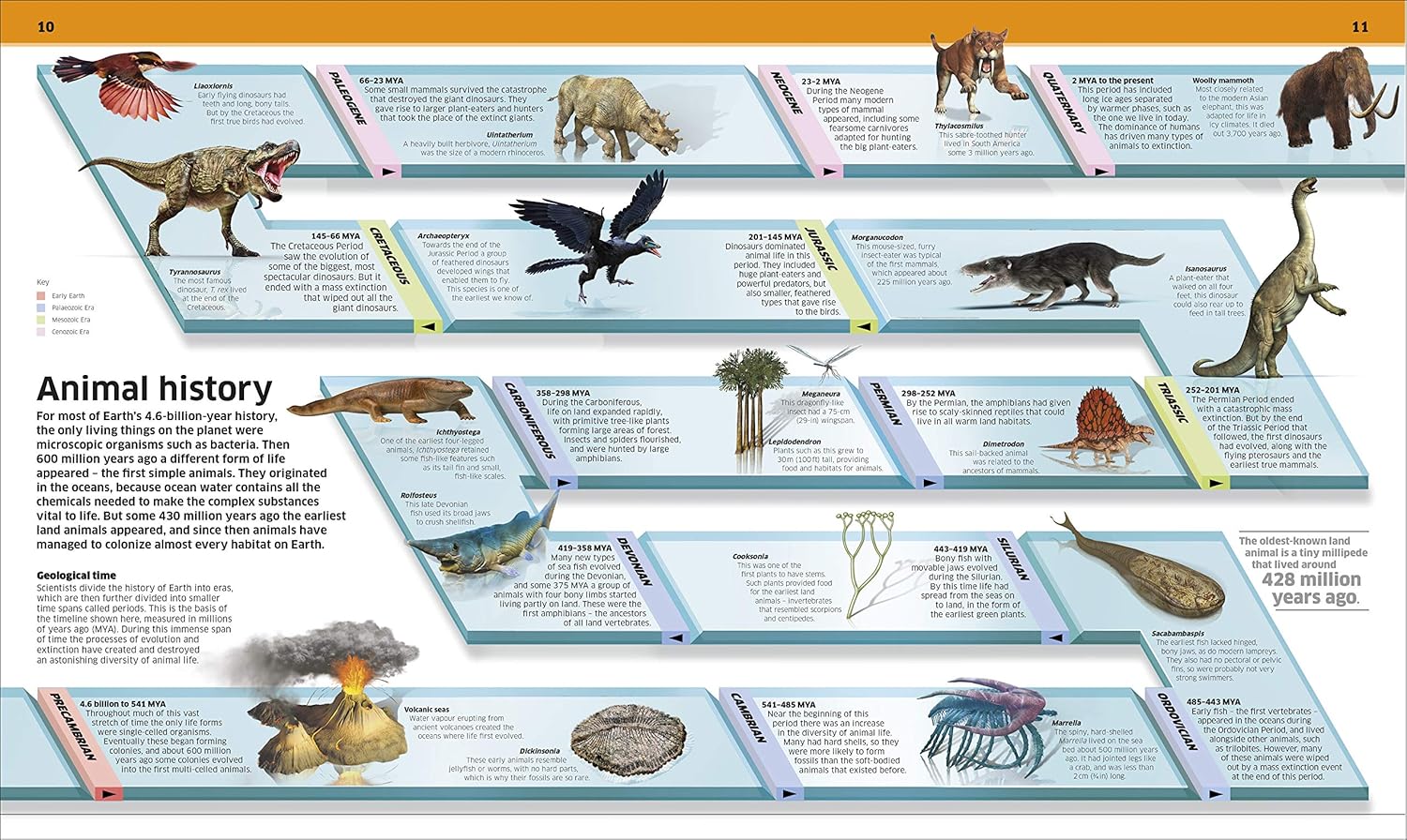 Knowledge Encyclopedia Animal! - thumbnail 3
