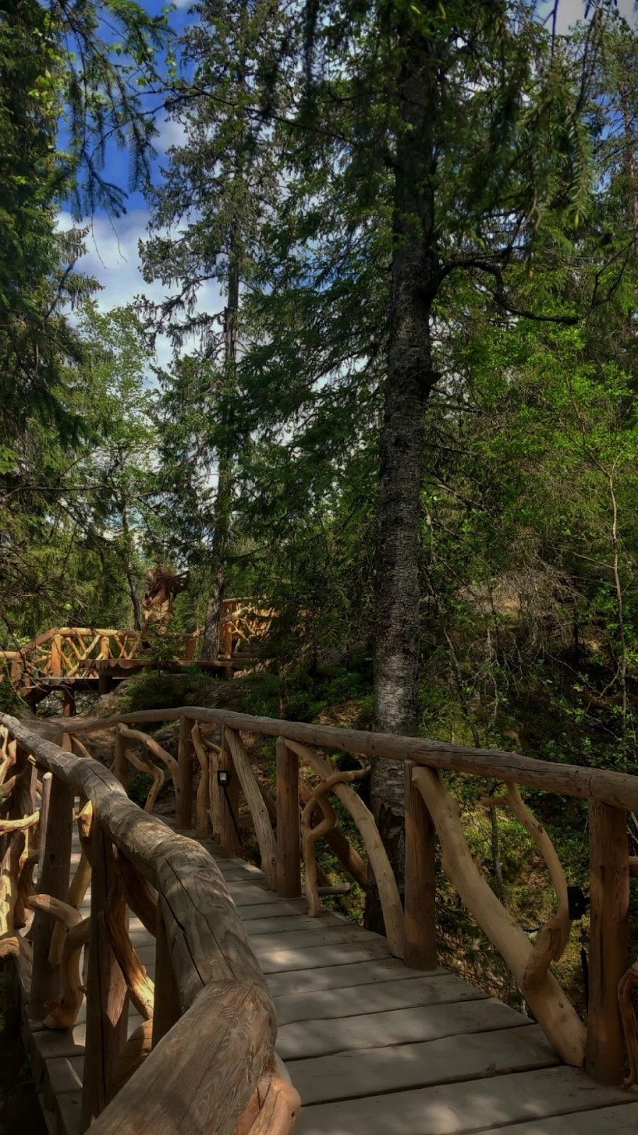 Природа Карелии