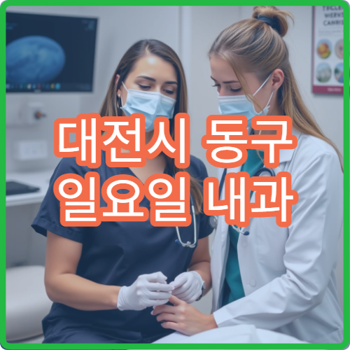 대전시 동구 일요일 내과 진료 병원 주말 감기 위장 장애 진료