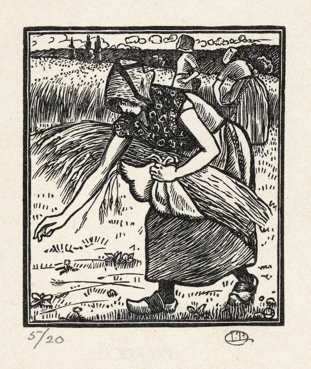 Ruth verzamelt aren 1896