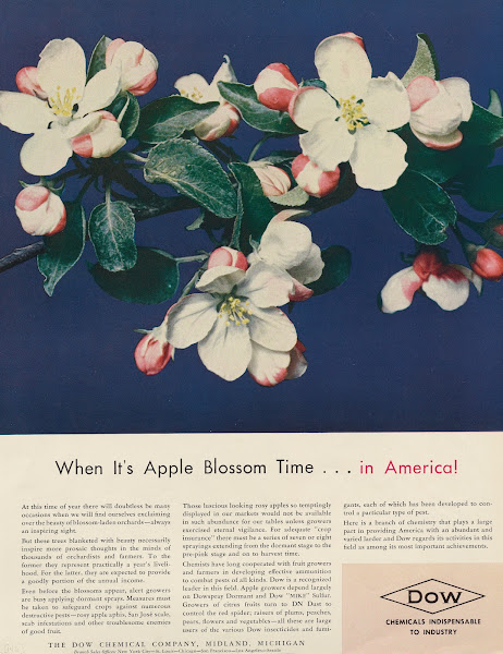 When Its Apple Blossom Timein America 1941