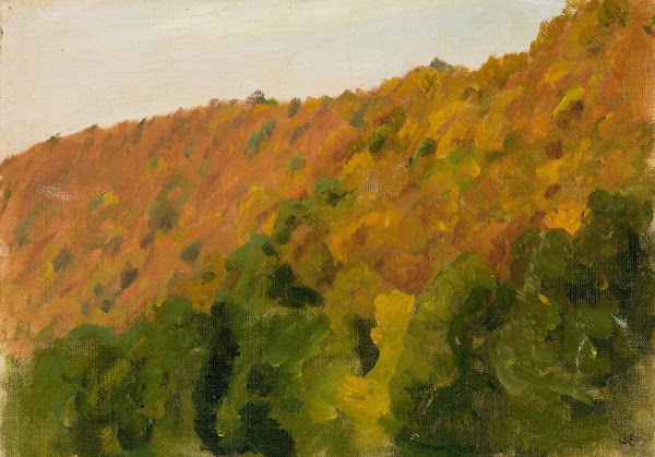 Herbstwald im Bärental 1910