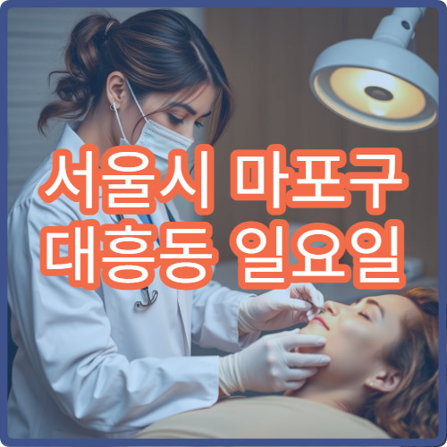 서울시 마포구 대흥동 일요일 약국 영업 여부 확인 및 문 연 약국 찾기