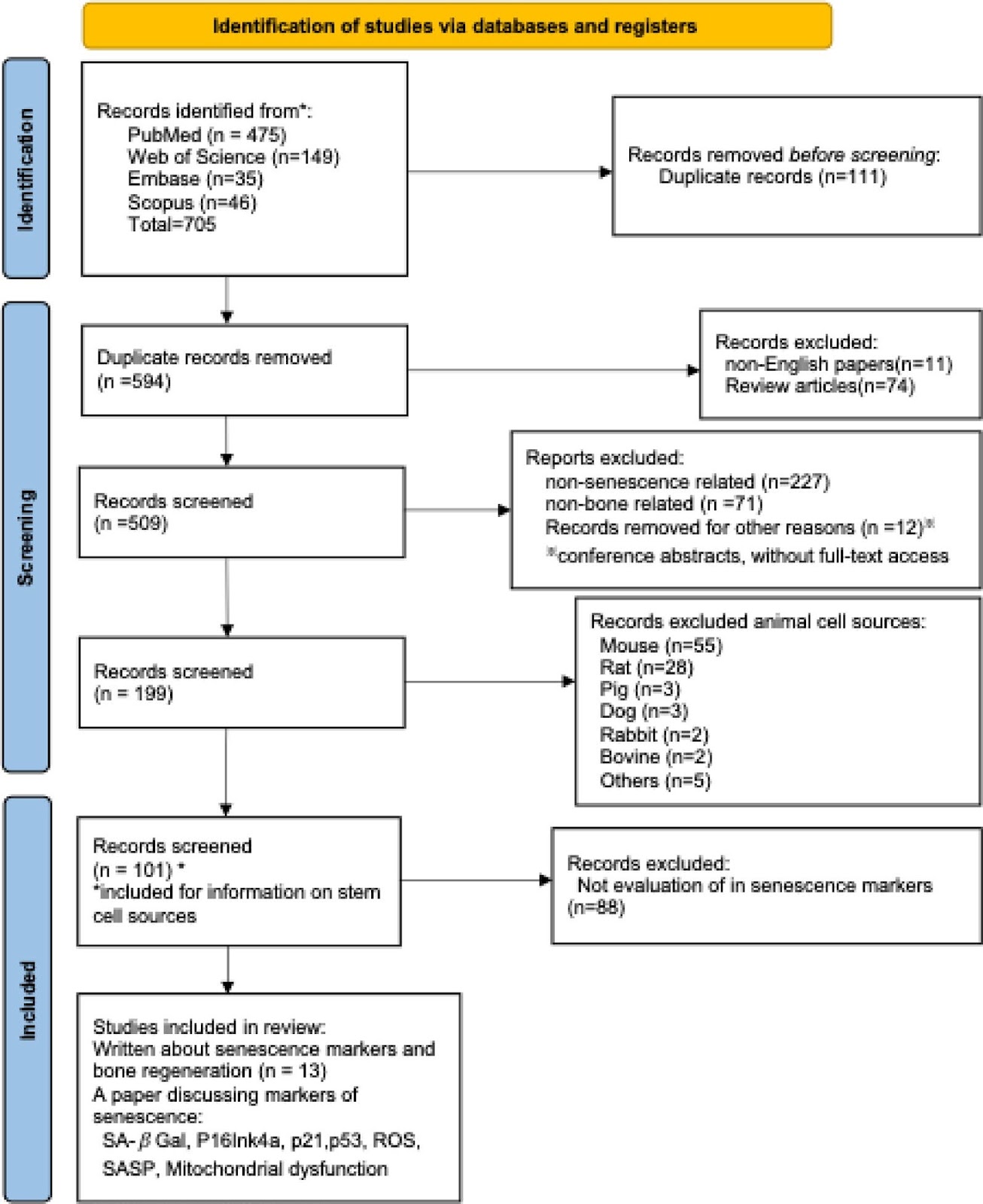 Targeting cellular senescence in progenitor cells as a strategy to enhance bone regeneration by cell therapies: a systematic review of pre-clinical investigations
