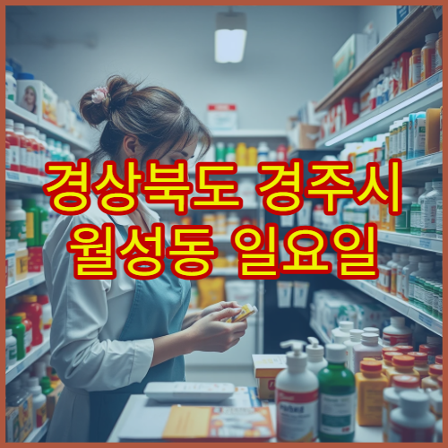경상북도 경주시 월성동 일요일 영업 약국 주말에도 운영하는 당번약국 정리