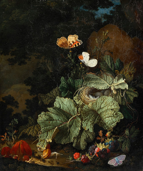 A forest floor still life with a birds nest toadstools snails boysenberries auro