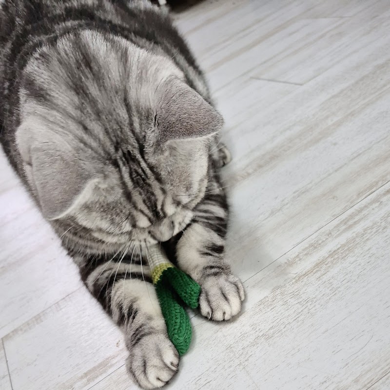 เจย์กงบัง - ถักทอเรื่องราวในทุกเส้นใย: งานฝีมือชิ้นเล็กๆ บอกเล่าตัวตนของคุณได้อย่างไรในปี 2026? 이미지 9