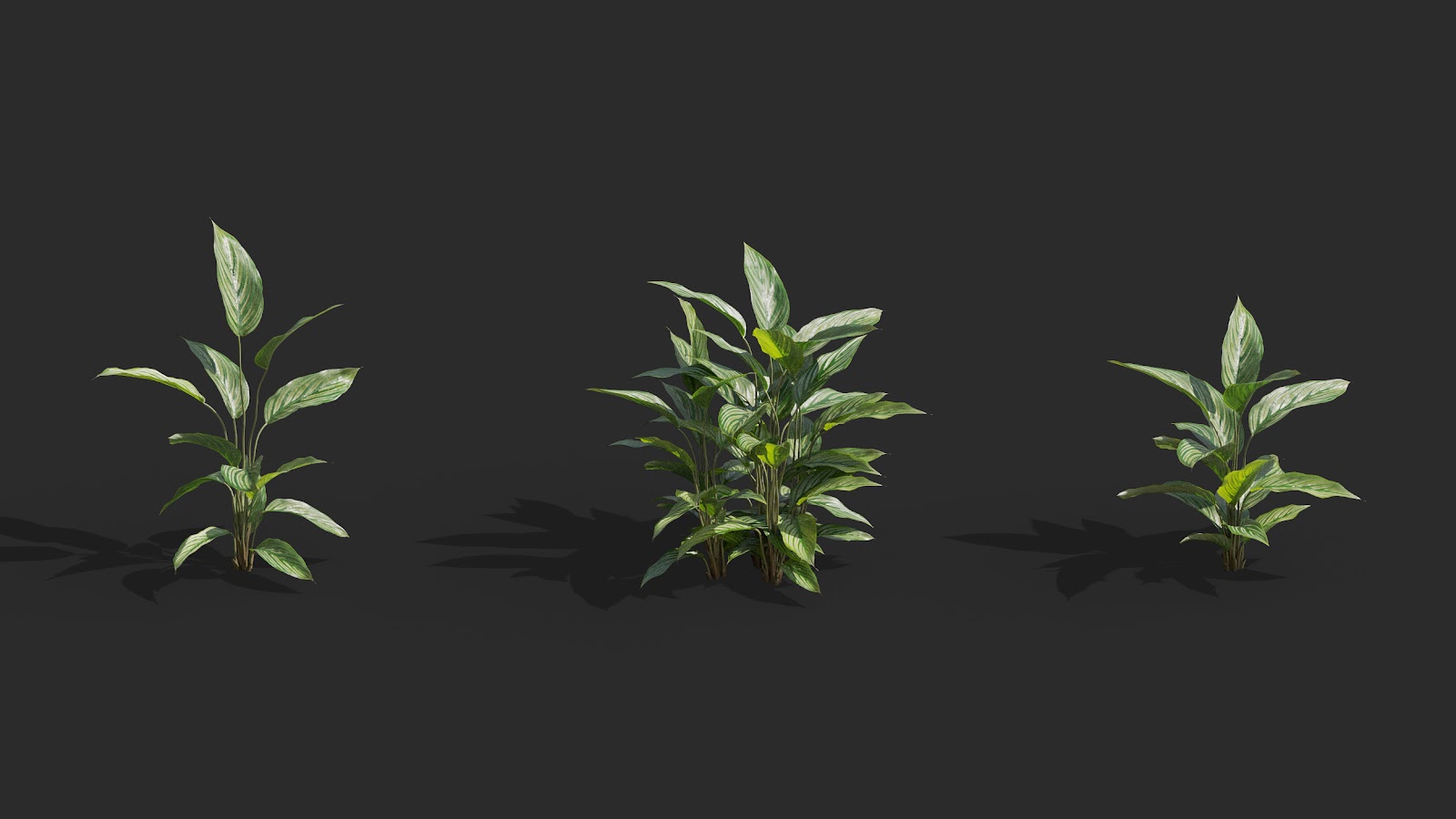 Maxtree - Plant Models Vol.62