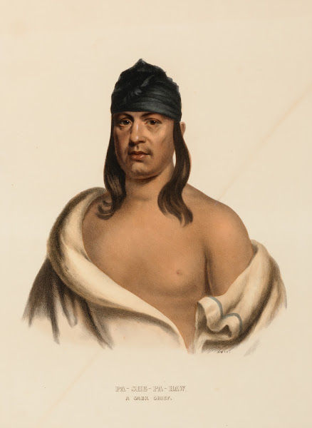 Pa She Pa Haw A Sauk Chief ca 1837 1844