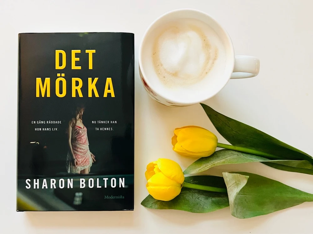 Boken Det mörka av Sharon Bolt